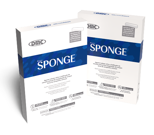 Família Sponge
